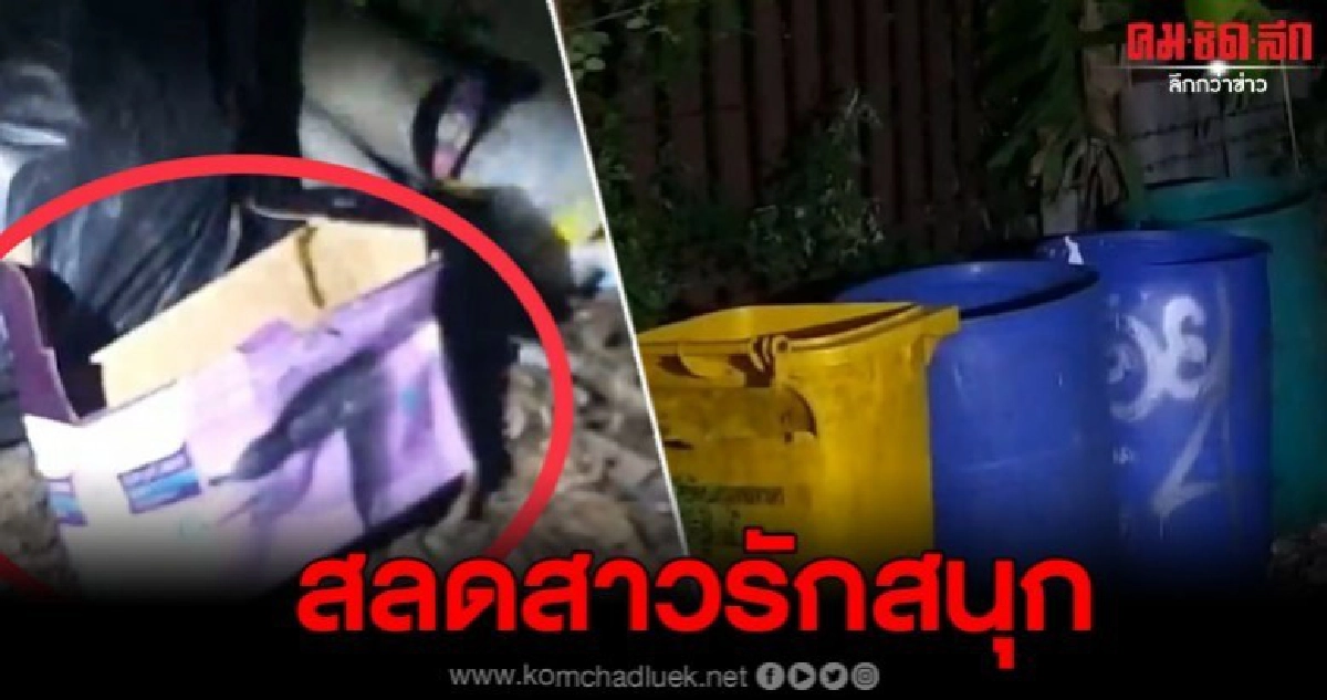 พบหนูน้อยแรกเกิดทิ้งในถังขยะริมถนน ย่านคันนายาว พบหนูน้อยแรกเกิดทิ้งในถังขยะริมถนน ย่านคันนายาว