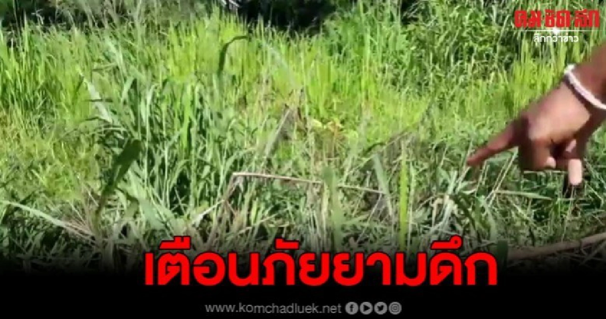 เตือนภัยกลางดึก มีคนขึงลวดดักกลางถนน คาดหวังชิงทรัพย์