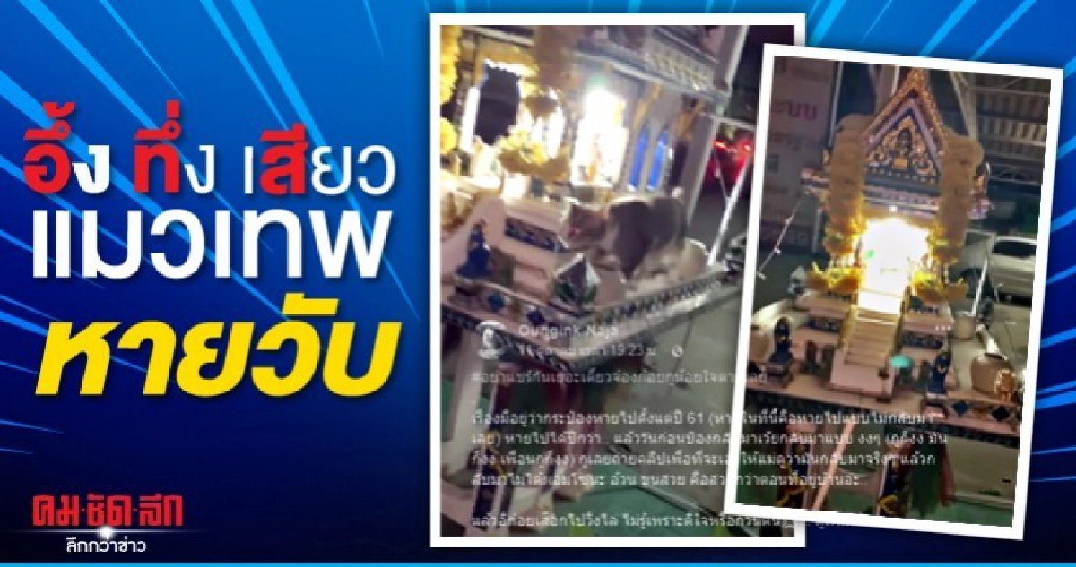 (คลิป) สาวงงตาค้าง น้องเหมียวแสนรัก หายวับไปในศาลภูมิ (คลิป) สาวงงตาค้าง น้องเหมียวแสนรัก หายวับไปในศาลภูมิ