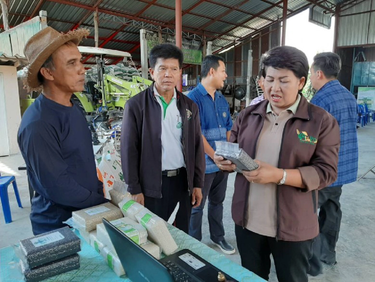 ดันศูนย์ข้าวชุมชนผลิตเมล็ดพันธ์ุดี แก้วิกฤติข้าวขาดแคลน