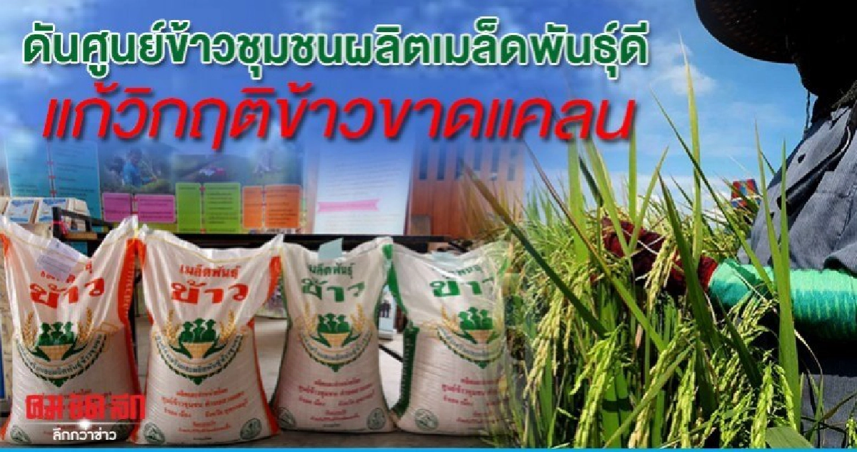 ดันศูนย์ข้าวชุมชนผลิตเมล็ดพันธ์ุดี แก้วิกฤติข้าวขาดแคลน ดันศูนย์ข้าวชุมชนผลิตเมล็ดพันธ์ุดี แก้วิกฤติข้าวขาดแคลน