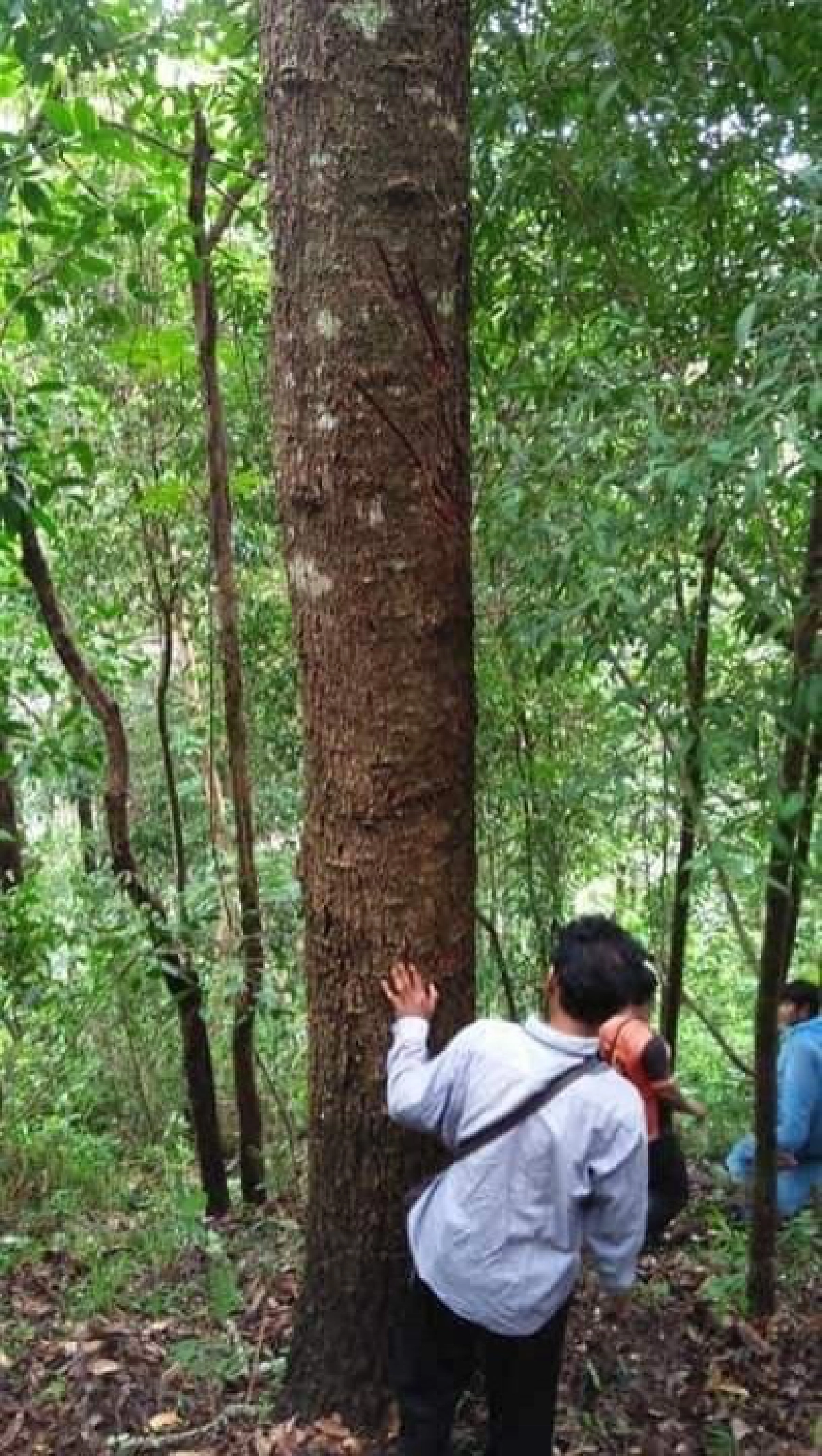สลด ชาวบ้านถูกหมีควายตัวใหญ่ตะปบกลางป่าดับ