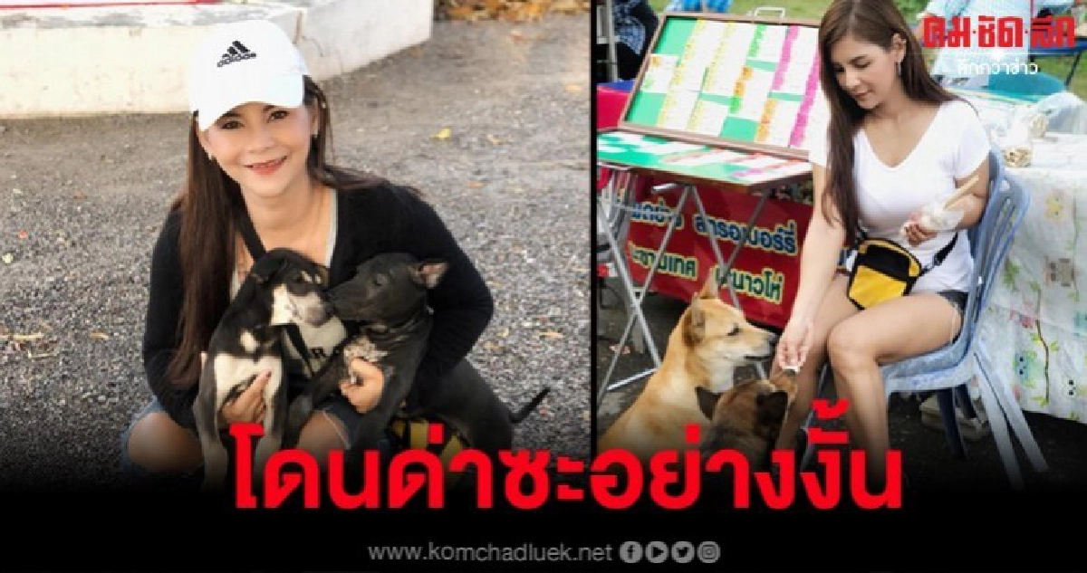 แม่ค้าสลากฯ แบ่งกำไรจากการขายซื้ออาหารให้หมาจรจัด แต่โดนด่า แม่ค้าสลากฯ แบ่งกำไรจากการขายซื้ออาหารให้หมาจรจัด แต่โดนด่า