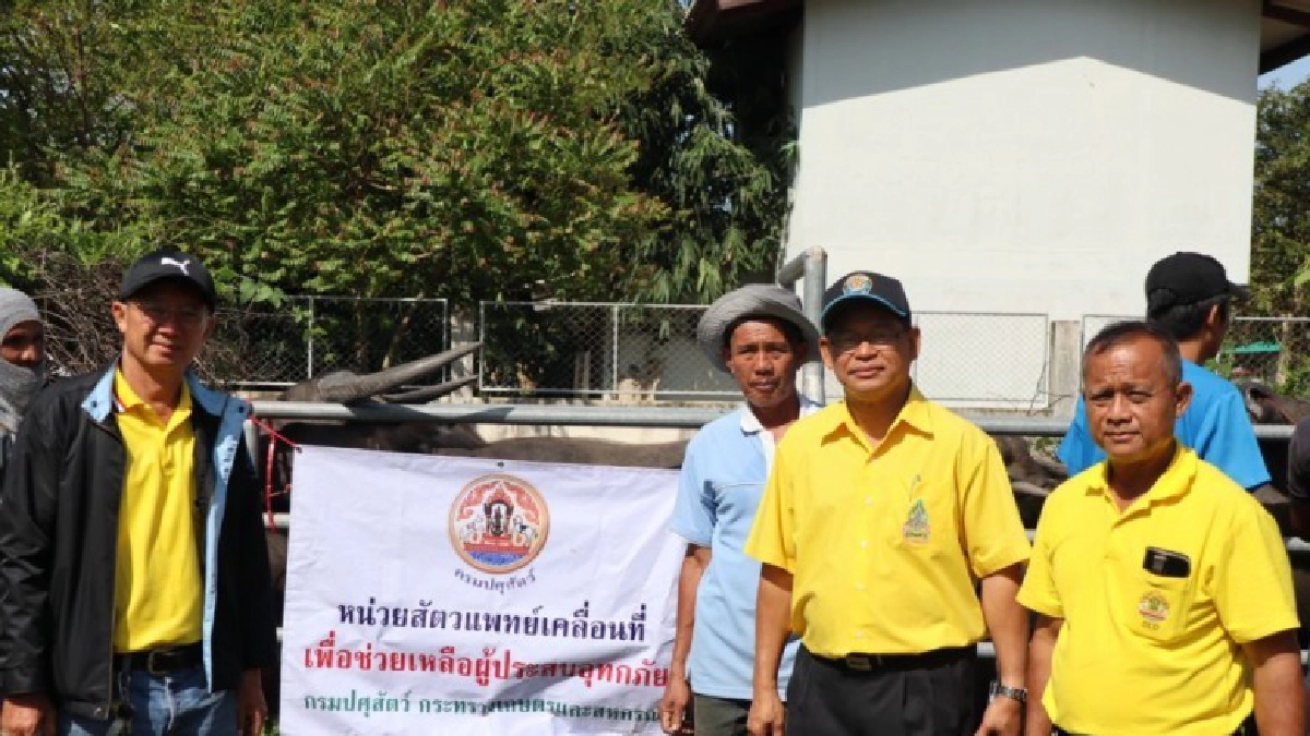 ปศุสัตว์ ออกปฏิบัติงานช่วยเหลือสัตว์ประสบอุทกภัยในจ.อุบลฯ