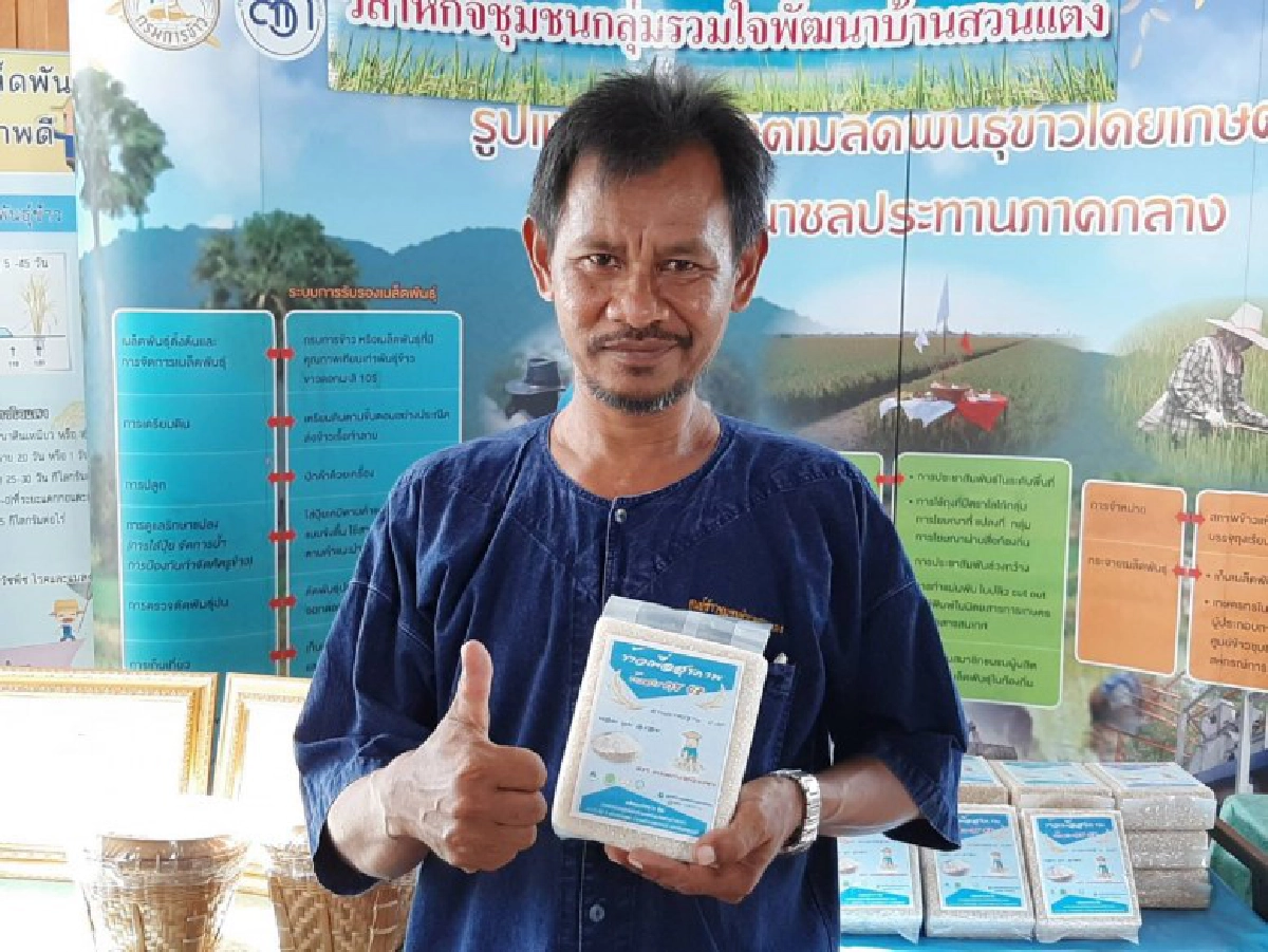 ดันศูนย์ข้าวชุมชนผลิตเมล็ดพันธ์ุดี แก้วิกฤติข้าวขาดแคลน