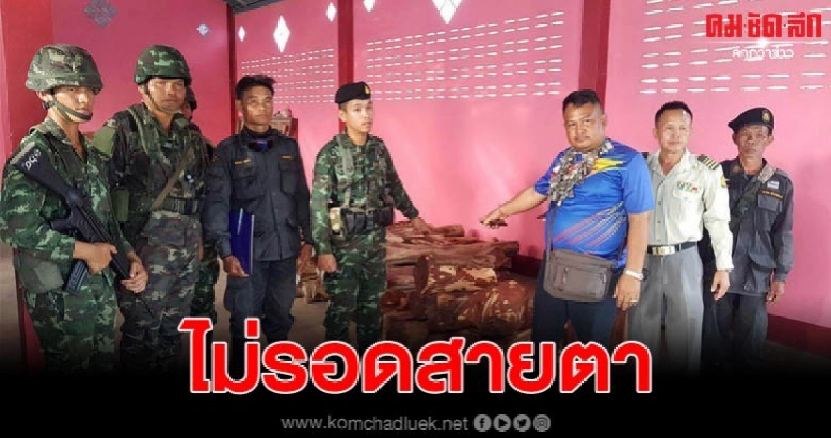 จนท. จับไม้พะยูงซุกโกดังชายแดน อ.ตาพระยา จ.สระแก้ว จนท. จับไม้พะยูงซุกโกดังชายแดน อ.ตาพระยา จ.สระแก้ว