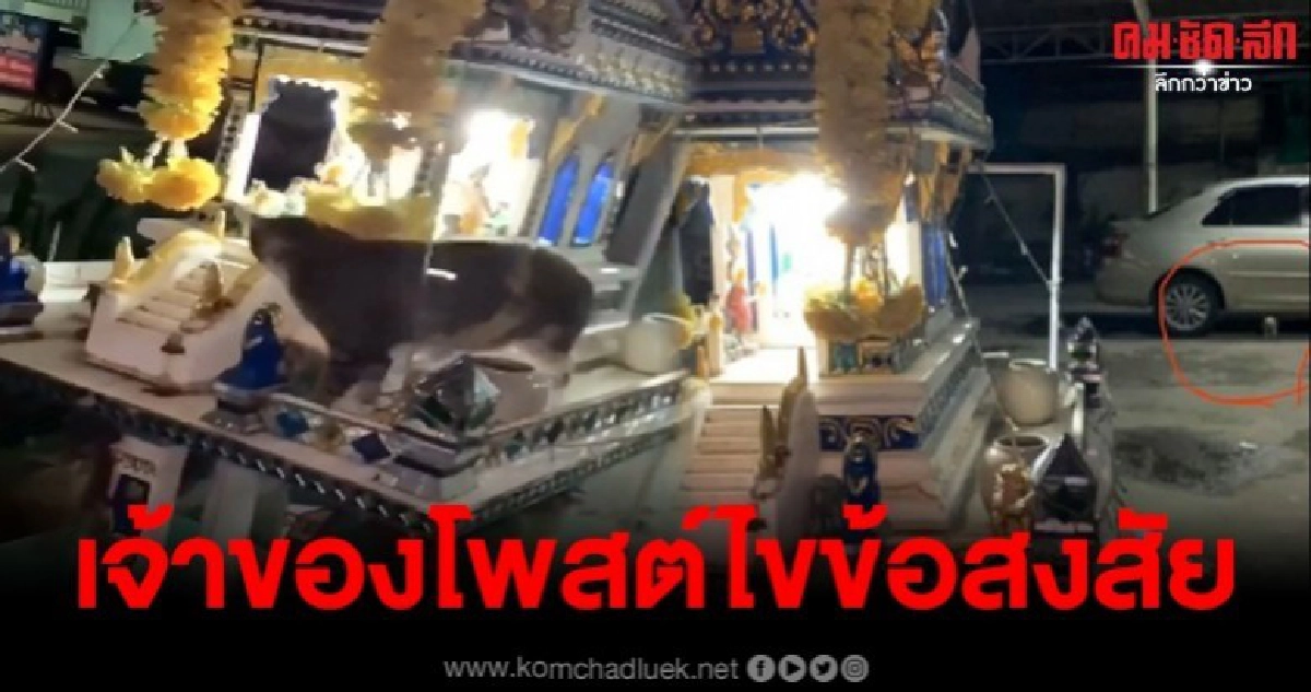 สาวเจ้าของแมวศาลพระภูมิ ออกมาโพสต์ไขข้อสงสัย สาวเจ้าของแมวศาลพระภูมิ ออกมาโพสต์ไขข้อสงสัย