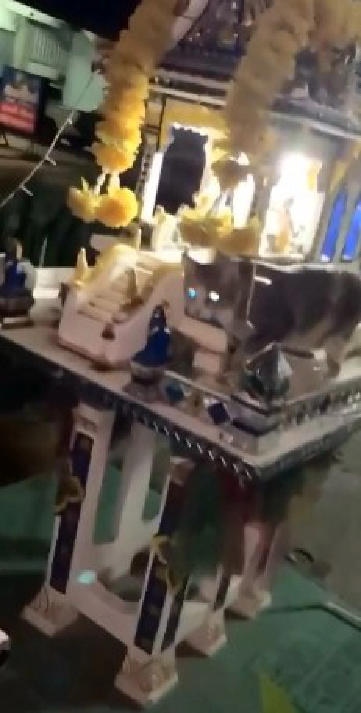 สาวเจ้าของแมวศาลพระภูมิ ออกมาโพสต์ไขข้อสงสัย