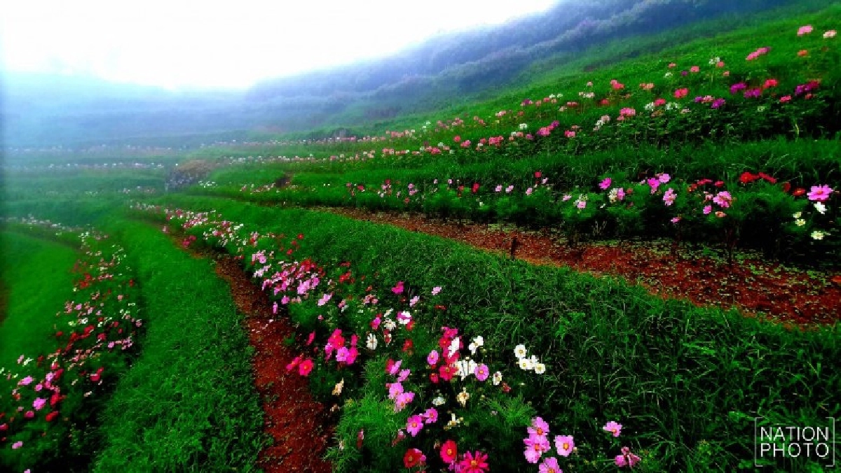 ห้วยน้ำดังอุณหภูมิลด 15 องศาฯ ชวนนทท.ชมทะเลหมอก-สัมผัสหนาว