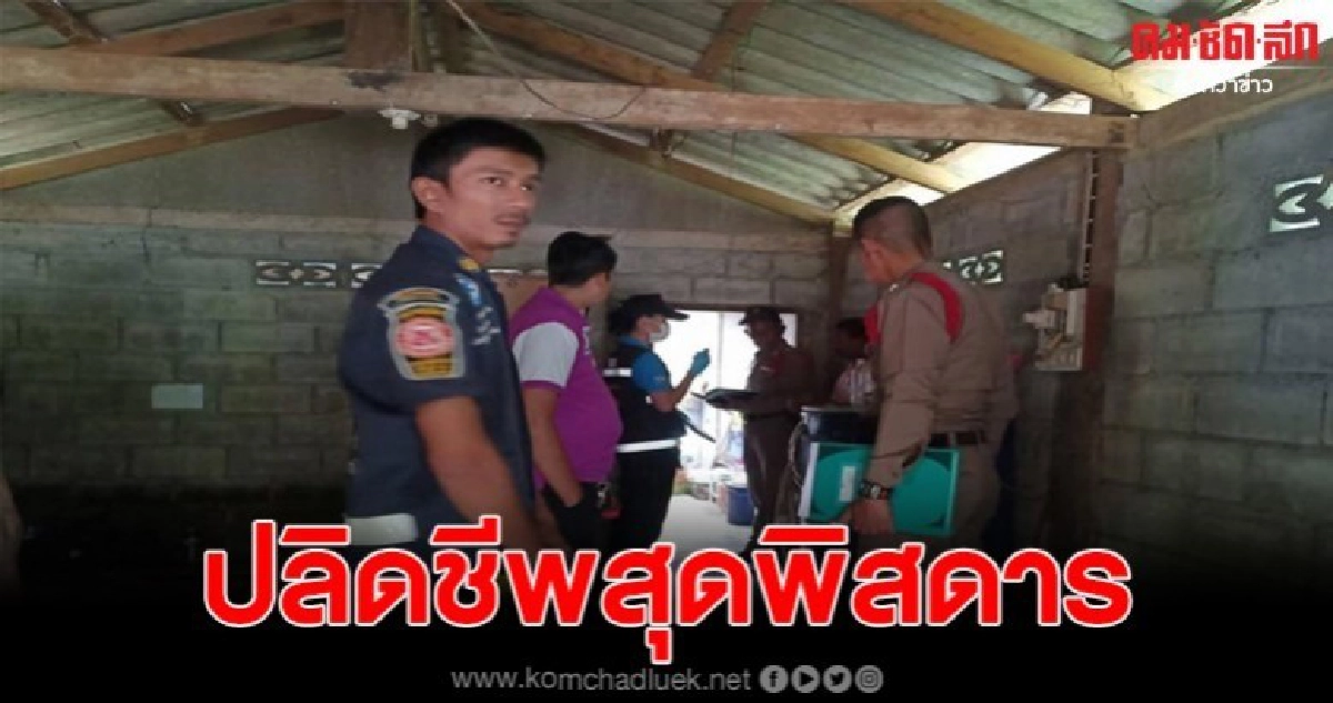 หนุ่มปลิดชีพพิสดาร งัดดินปืนยัดใส่ด้ามมีด จ่อหน้าอกดับ