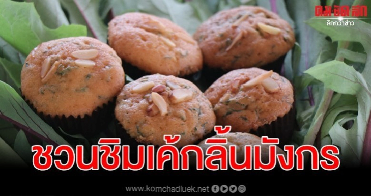 ชวนชิม เค้กลิ้นมังกร หนึ่งเดียวของประเทศ ชวนชิม เค้กลิ้นมังกร หนึ่งเดียวของประเทศ