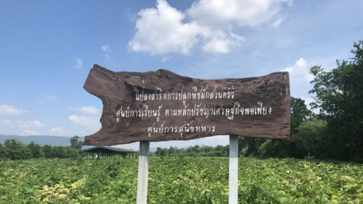 ฟักทองอินทรีย์ ไร่ทองก้อน อร่อยได้หมดทั้งสดและสุก