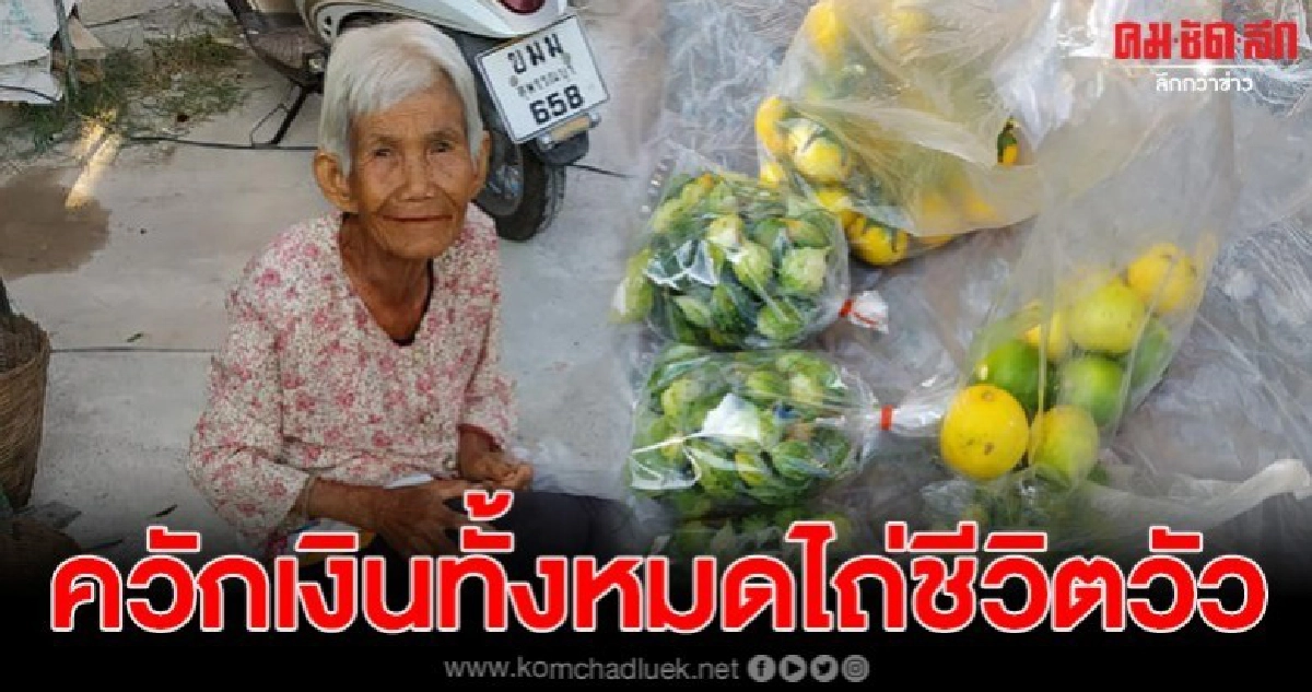 ยายเห็นวัวกำลังถูกส่งโรงเชือด ยอมควักเงินทั้งหมดช่วยชีวิต ยายเห็นวัวกำลังถูกส่งโรงเชือด ยอมควักเงินทั้งหมดช่วยชีวิต