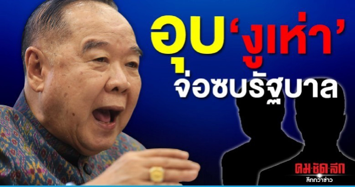 ประวิตร อุบ งูเห่า จ่อซบรัฐบาล ประวิตร อุบ งูเห่า จ่อซบรัฐบาล