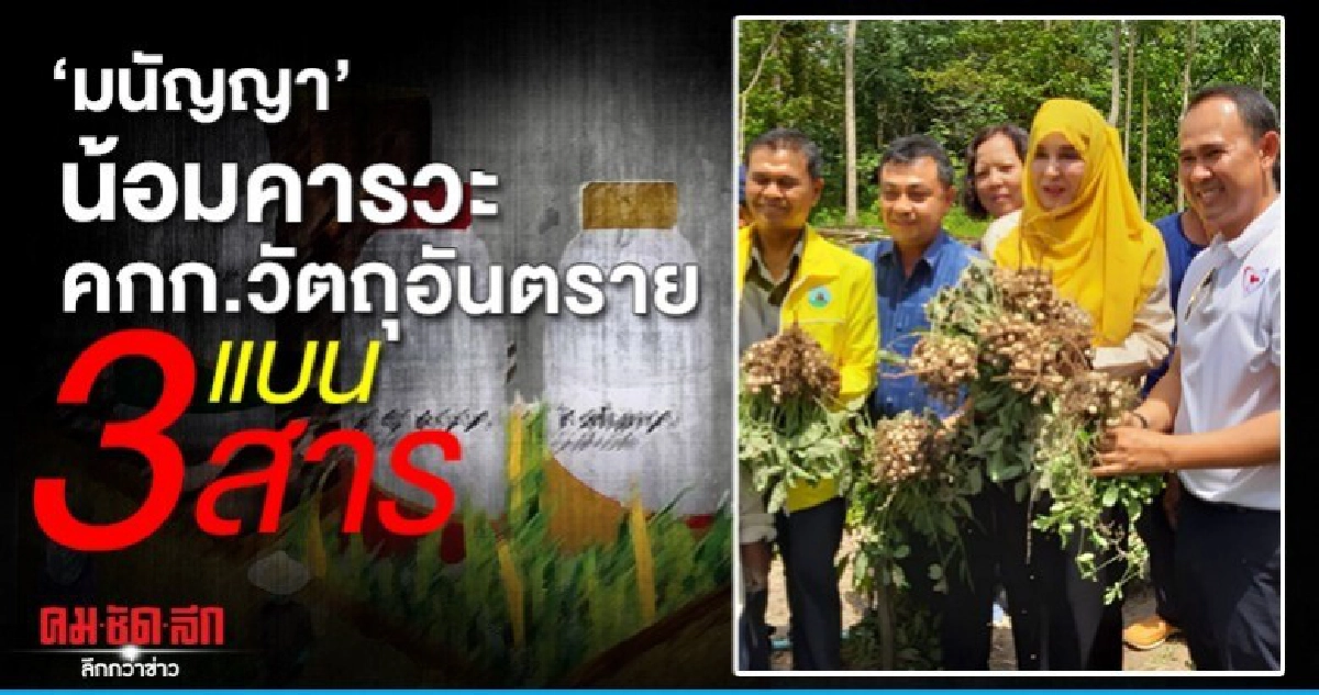   มนัญญา น้อมคารวะ คกก.วัตถุอันตราย แบน3สาร