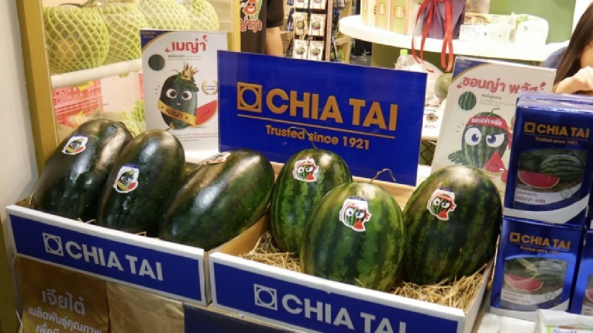    เจียไต๋โฮมการ์เด้น ชวนไปช้อปงานบ้านและสวนแฟร์ 2019 