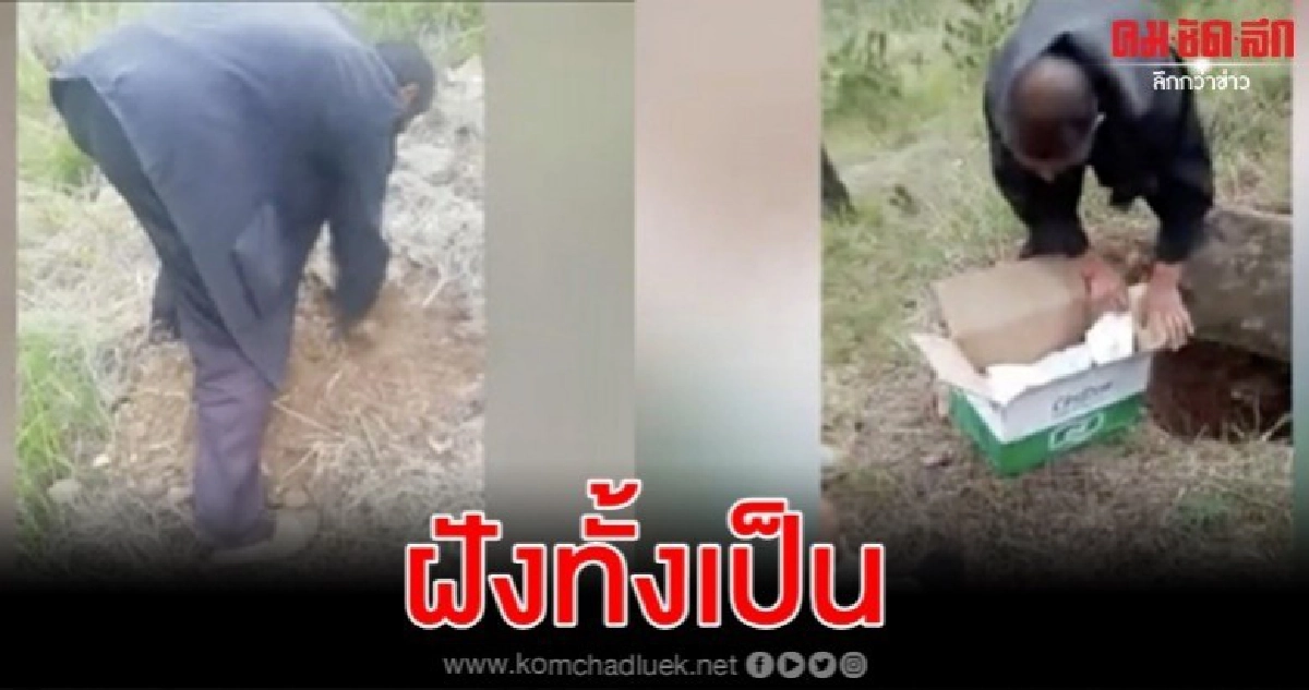 ตร.จีนเปิดสอบหลังคลิปไวรัลชาวบ้านขุดเห็ดเจอทารกฝังทั้งเป็น ตร.จีนเปิดสอบหลังคลิปไวรัลชาวบ้านขุดเห็ดเจอทารกฝังทั้งเป็น