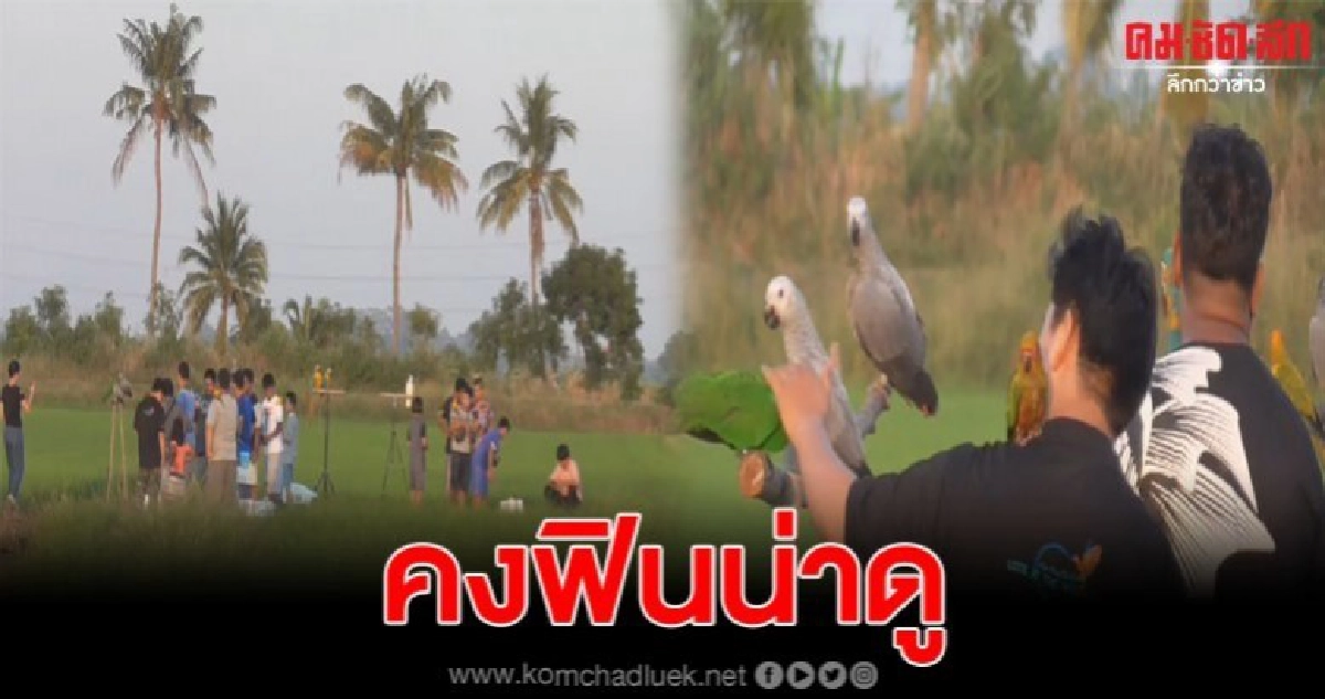 แลนด์มาร์คแห่งใหม่ ของคนเลี้ยงนกสายพันธุ์ปากขอหลากหลายชนิด แลนด์มาร์คแห่งใหม่ ของคนเลี้ยงนกสายพันธุ์ปากขอหลากหลายชนิด