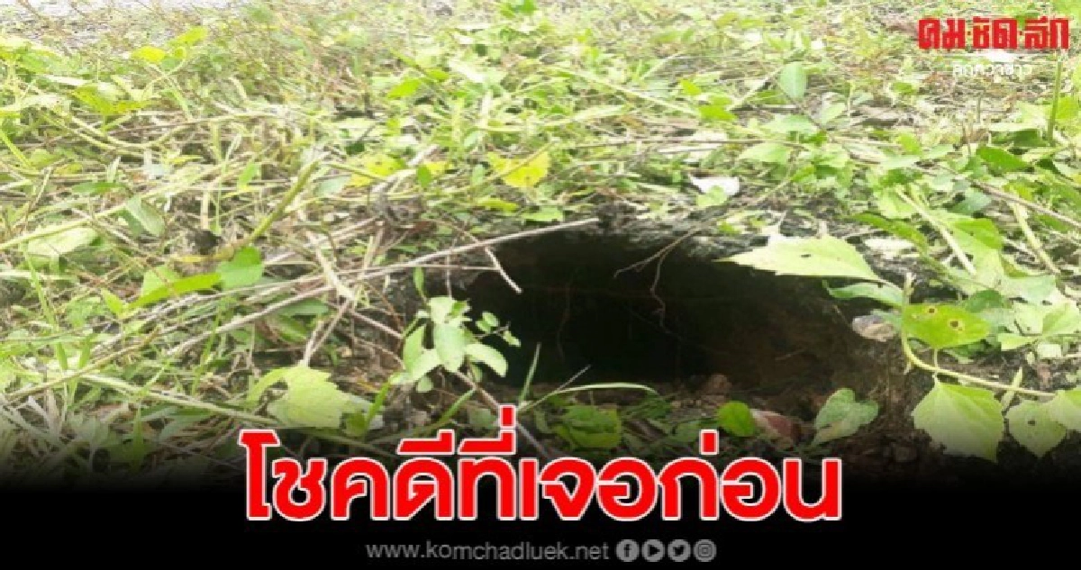 พบหลุมระเบิดในอ.รามัน คาดคนร้ายเตรียม บึ้มชุดลาดตระเวน พบหลุมระเบิดในอ.รามัน คาดคนร้ายเตรียม บึ้มชุดลาดตระเวน