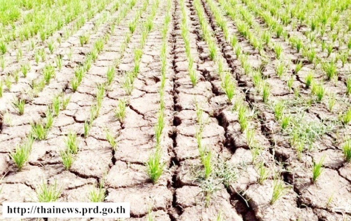 ข้อมูลเชิงลึก 30 ปี ไทยร้อนขึ้น-น้ำน้อยลง ท้าทายรัฐบาลลุงตู่