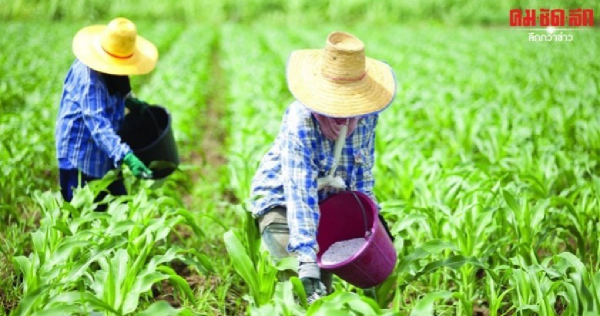 รีบสมัครร่วม 5 โครงการสุดติ่งฟื้นฟูน้ำท่วม ฝนทิ้งช่วง