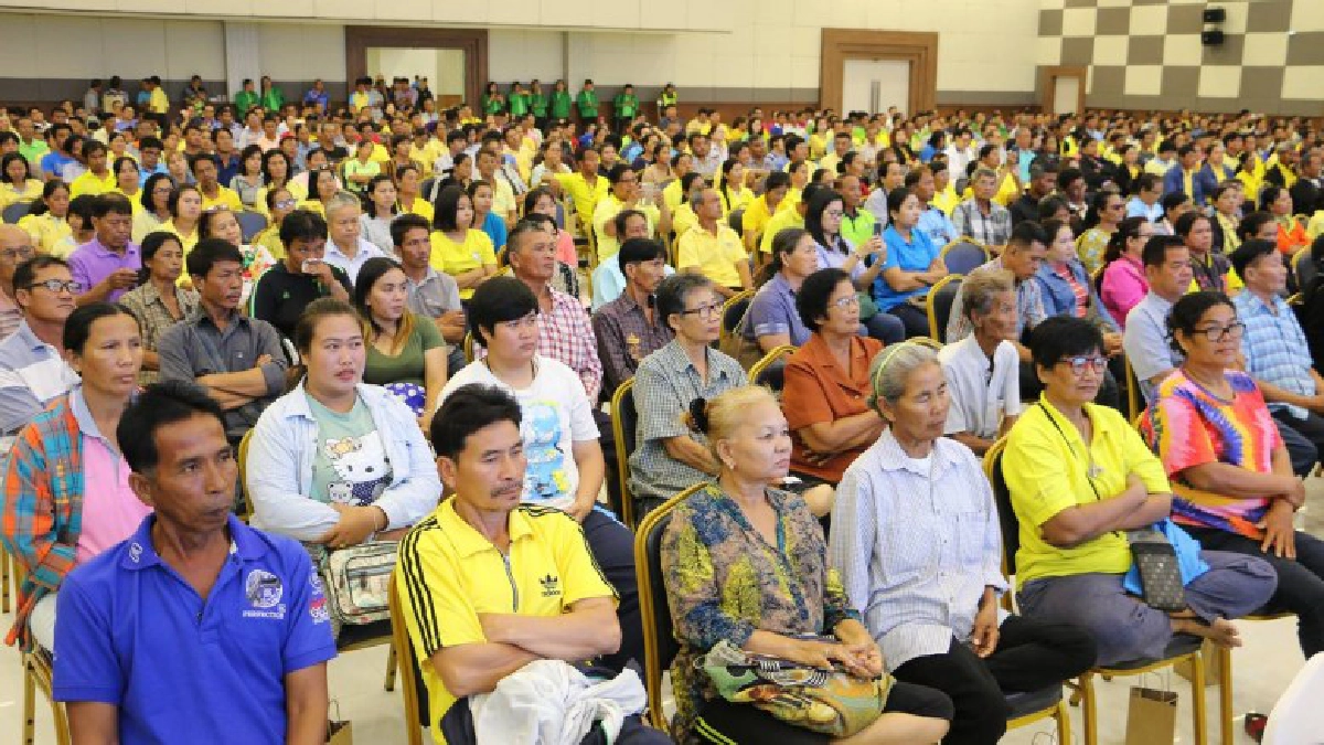 หนุนชาวนาพิจิตรปลูกข้าว กข79 ทำ MOU ส่งจีนล็อตแรก 1 หมื่นตัน