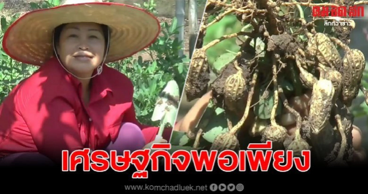 สาวใหญ่วัย 52 พลันชีวิตปลูกผักสวนครัว เดินตามรอยเท้าพ่อ สาวใหญ่วัย 52 พลันชีวิตปลูกผักสวนครัว เดินตามรอยเท้าพ่อ