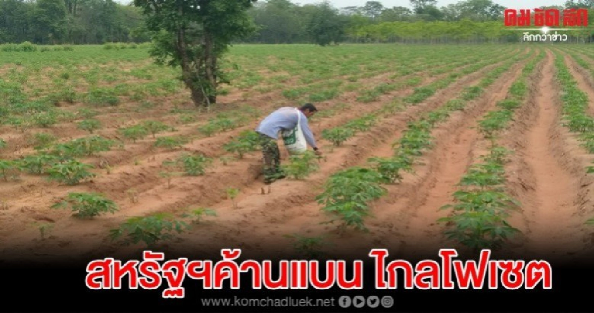 ทูตสหรัฐฯส่งหนังสือคัดค้านแบน ไกลโฟเซต 