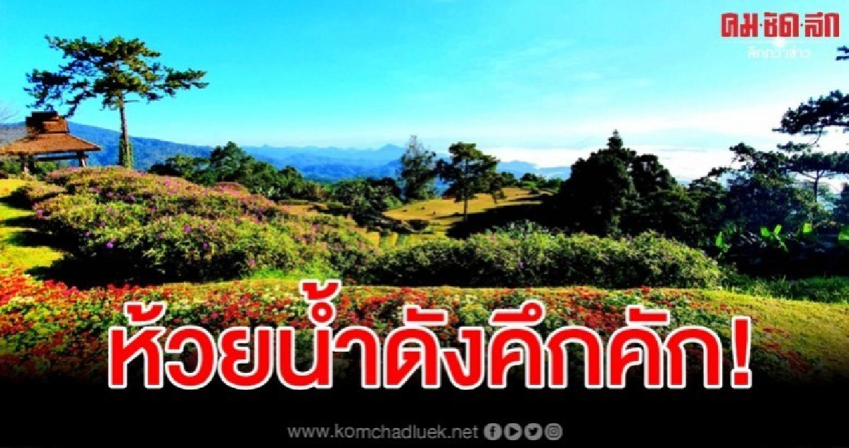 นทท.คึกคัก แห่สัมผัสหนาว-ชมทะเลหมอก "ห้วยน้ำดัง" นทท.คึกคัก แห่สัมผัสหนาว-ชมทะเลหมอก "ห้วยน้ำดัง"