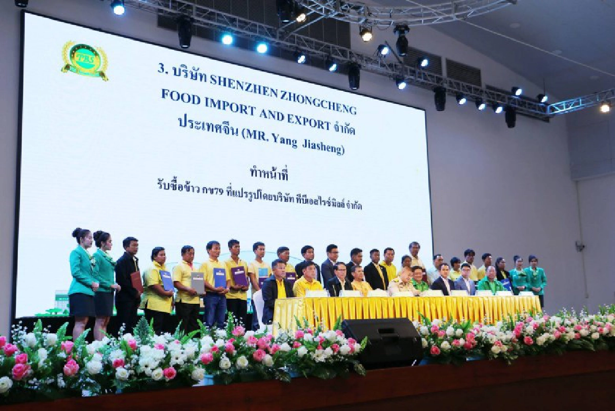 หนุนชาวนาพิจิตรปลูกข้าว กข79 ทำ MOU ส่งจีนล็อตแรก 1 หมื่นตัน