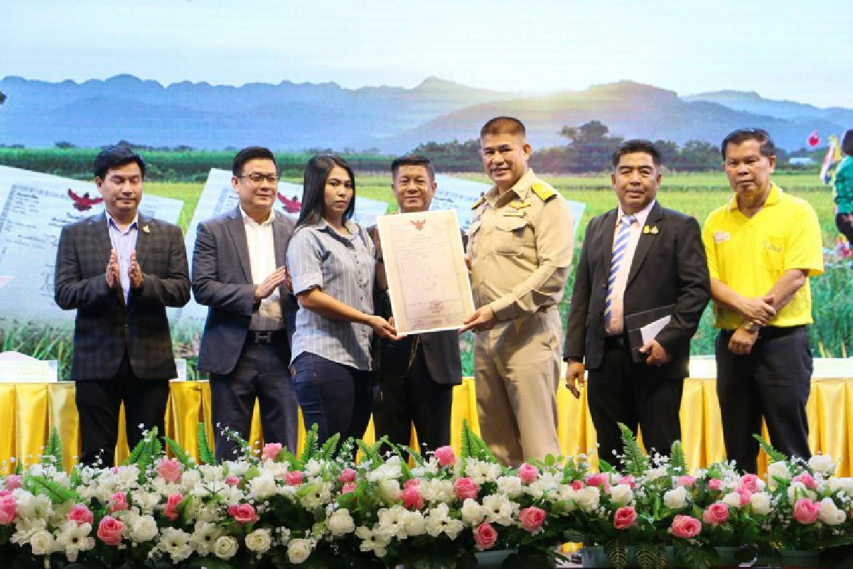 หนุนชาวนาพิจิตรปลูกข้าว กข79 ทำ MOU ส่งจีนล็อตแรก 1 หมื่นตัน