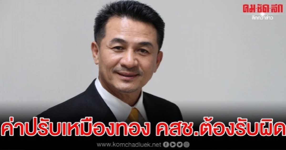 พท.ชี้ค่าปรับเหมืองทอง คสช.ต้องรับผิดชอบ พท.ชี้ค่าปรับเหมืองทอง คสช.ต้องรับผิดชอบ