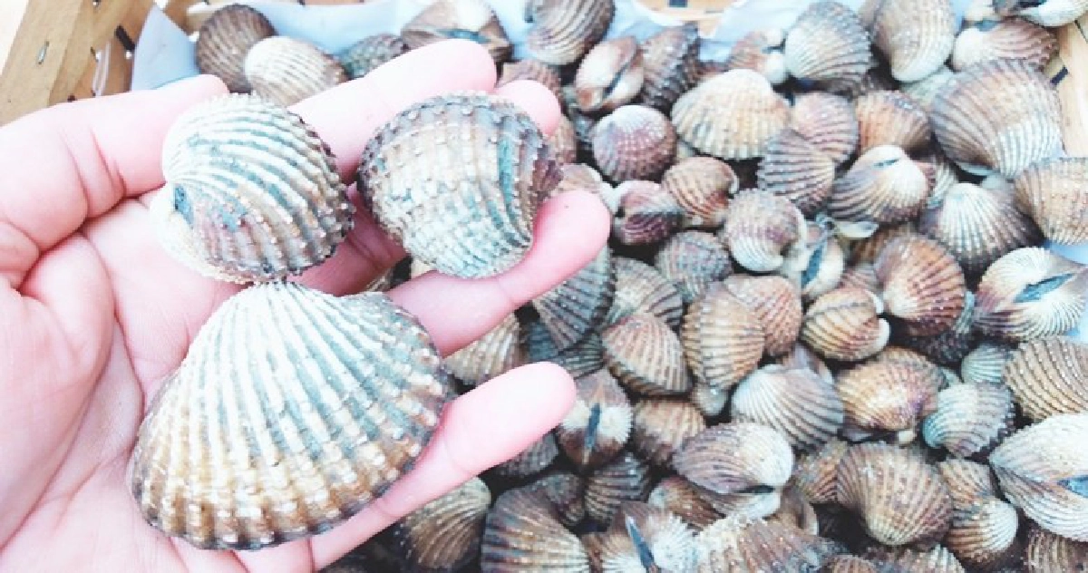 ประชุมนานาชาติเชิญกูรูด้านระบาดวิทยาสัตว์น้ำเข้าร่วม