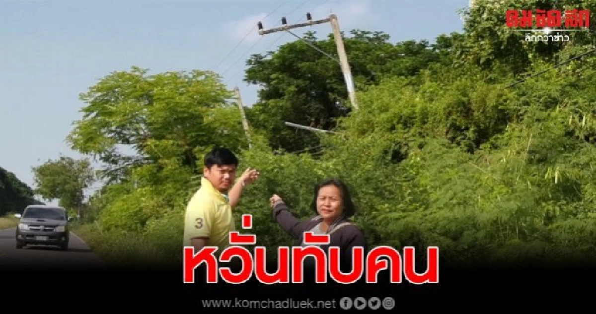ชาวบ้านร้องเสาไฟเอียง กว่า 30 ต้น ผวาล้มทับคน ชาวบ้านร้องเสาไฟเอียง กว่า 30 ต้น ผวาล้มทับคน