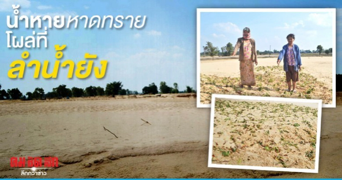 น้ำหายหาดทรายโผล่ที่ลำน้ำยัง