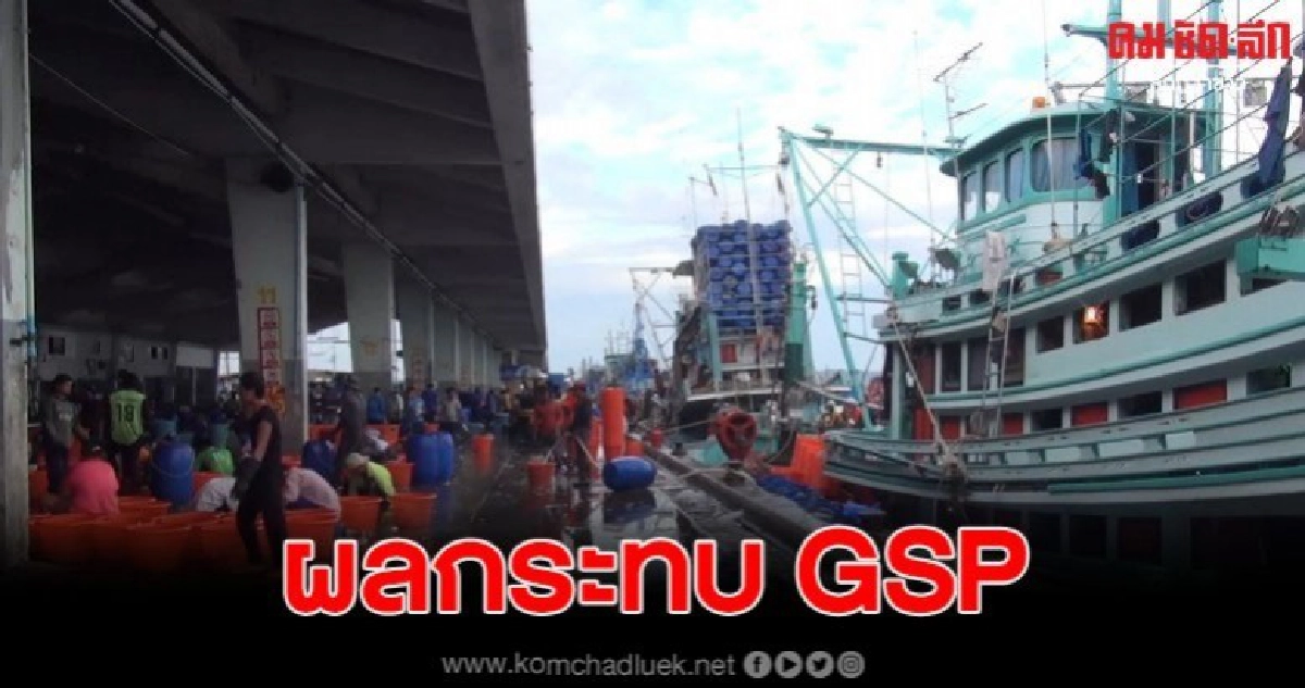 นายกสมาคมประมง เผยผลกระทบหนัก หากไทยถูกตัดสิทธิ GSP นายกสมาคมประมง เผยผลกระทบหนัก หากไทยถูกตัดสิทธิ GSP