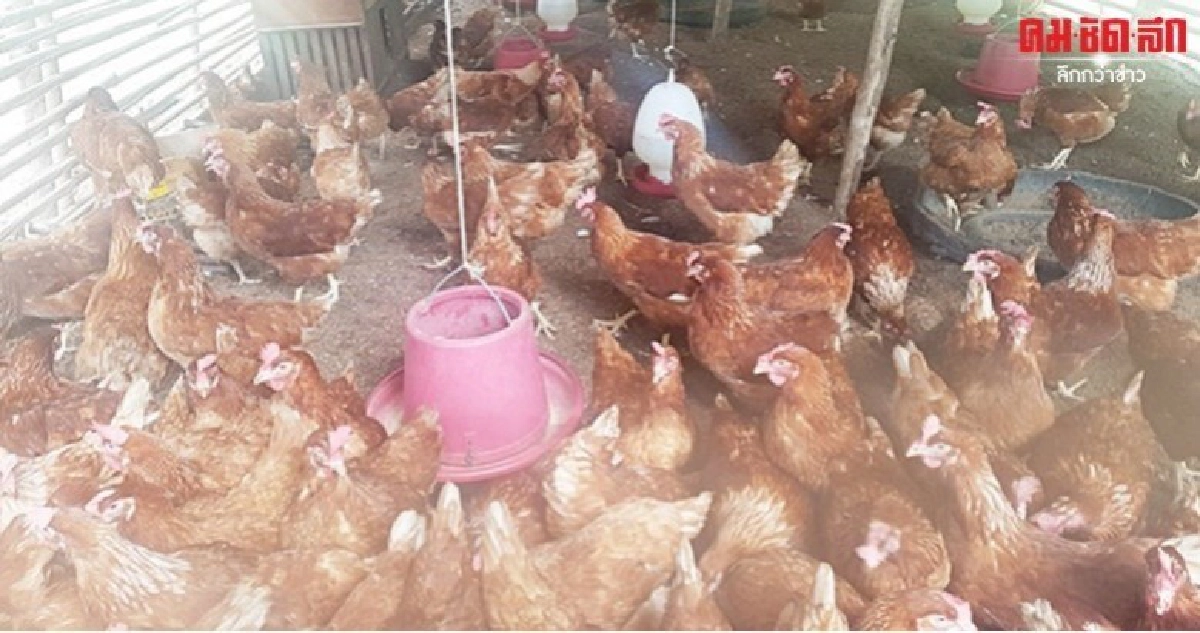 ทุ่มกว่า 3 พันล้านฟื้นฟู 5 อาชีพ