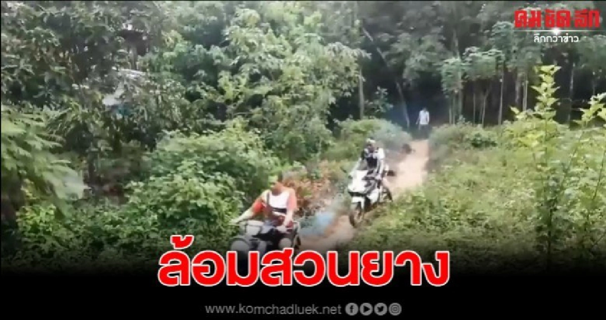 จนท.ปิดล้อมสวนยาง หลังเป็นแหล่งมั่วสุม รวบผู้ต้องหายกทีม จนท.ปิดล้อมสวนยาง หลังเป็นแหล่งมั่วสุม รวบผู้ต้องหายกทีม