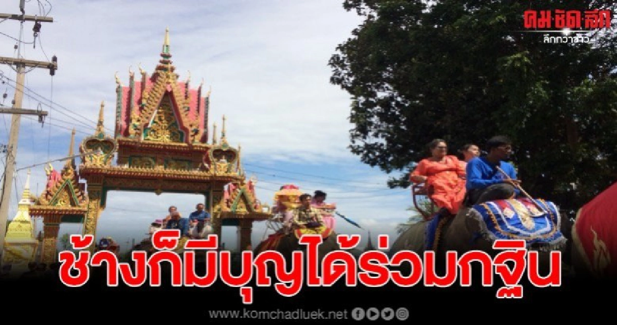 ขบวนช้างกว่า 20 เชือกร่วมแห่มหากฐิน  เพื่อสืบสานประเพณี