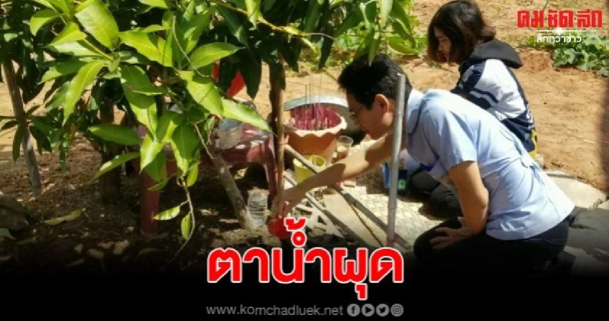 ลงตรวจพื้นที่ ตาน้ำผึด พร้อมเตือนไม่ควรดื่ม ลงตรวจพื้นที่ ตาน้ำผึด พร้อมเตือนไม่ควรดื่ม