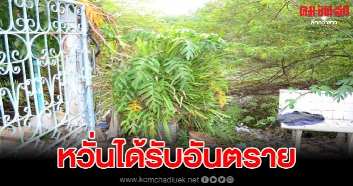 สาวร้องผ่านสื่อสุนัขถูกวางยา พบอีกหลายๆบ้านโดนแบบเดียวกัน