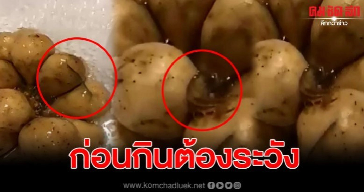 หนุ่มกำลังล้างผลไม้ลองกอง เจอสัตว์มีพิษโผล่ 2 ตัว