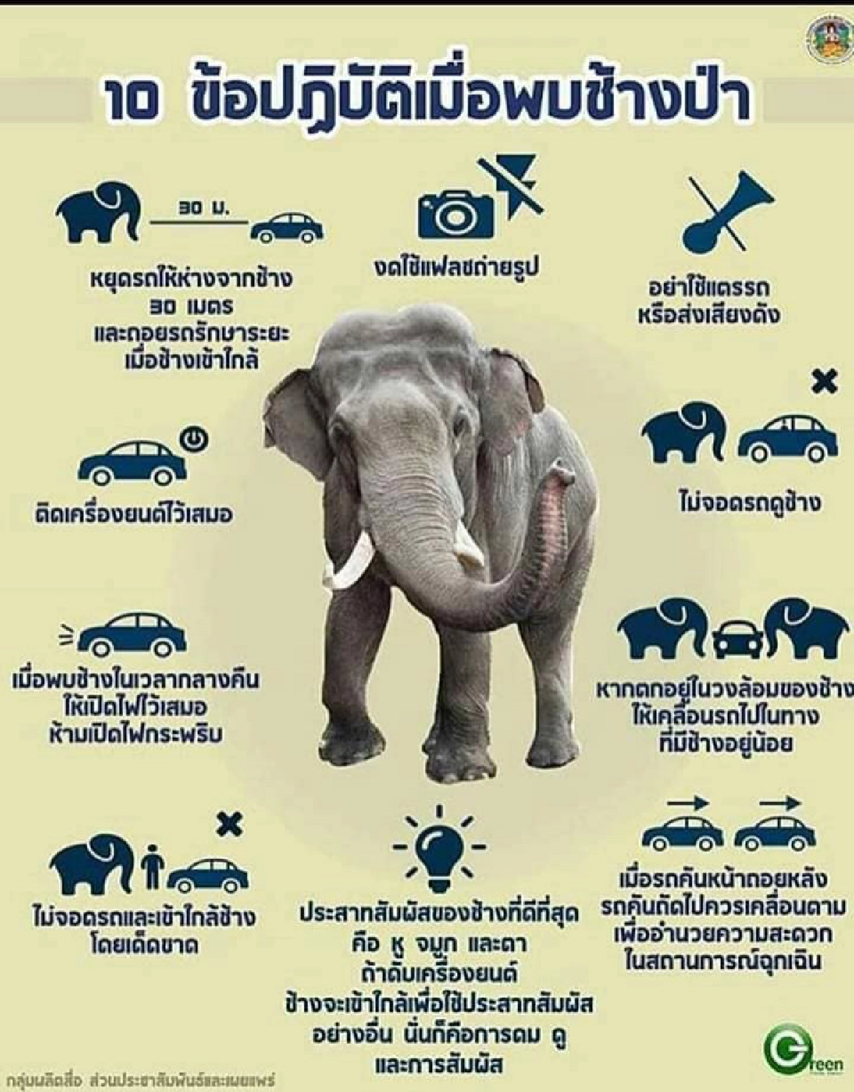 คลิประทึก พี่ดื้อ ช้างป่าเขาใหญ่ ขย่มรถเก๋งนทท.