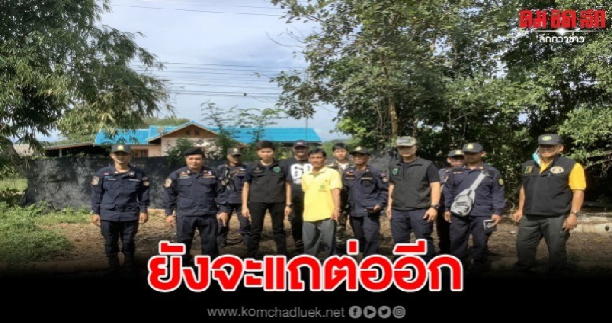 ฉก.พญาเสือ บุกรวบสมาชิกอบต.เมืองเพชร ซุกไม้ท่อนหวงห้ามเพียบ ฉก.พญาเสือ บุกรวบสมาชิกอบต.เมืองเพชร ซุกไม้ท่อนหวงห้ามเพียบ