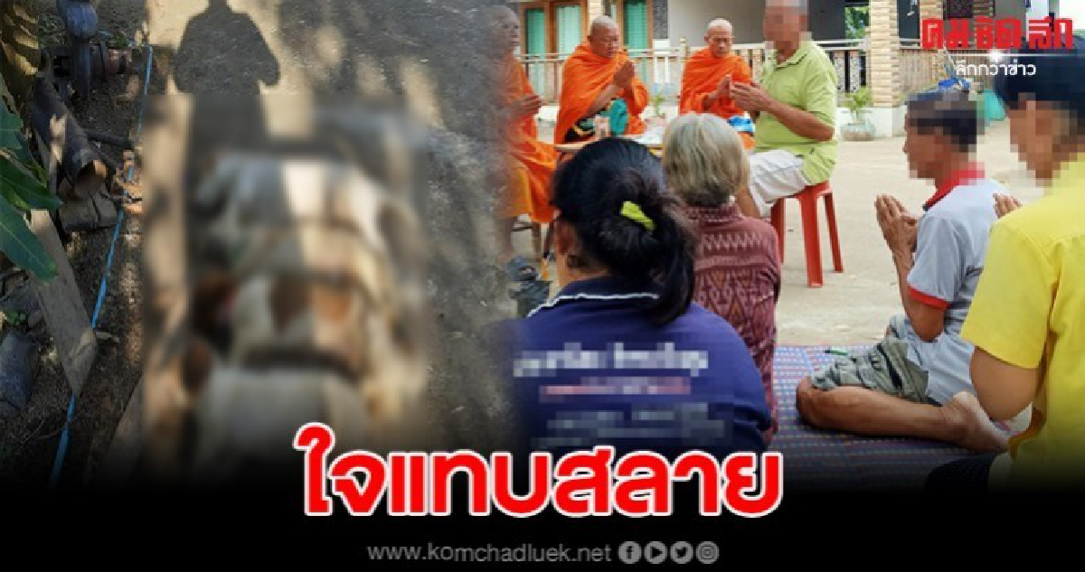 สาวโวยถูกคนใจร้ายวางยาเบื่อหมา ดับยกบ้าน สาวโวยถูกคนใจร้ายวางยาเบื่อหมา ดับยกบ้าน