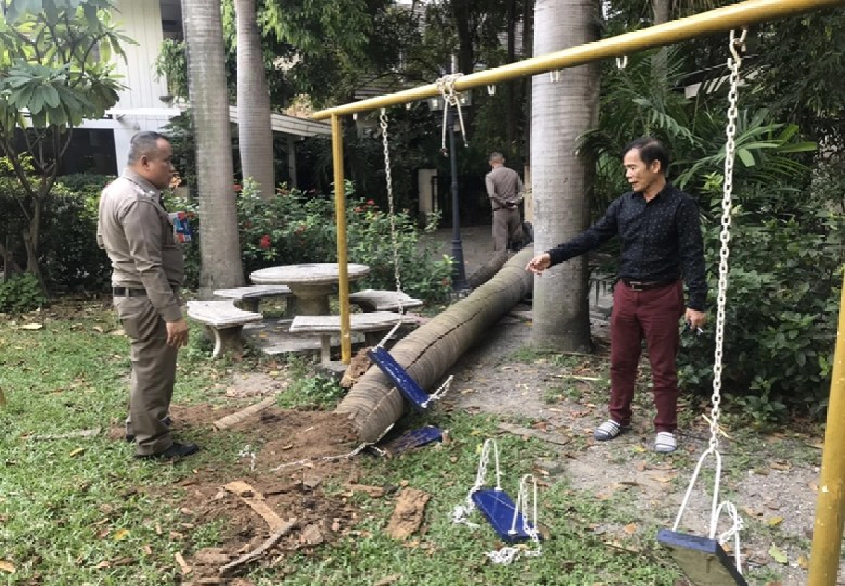 เศร้า สูญเสีย ดร.เดือนเด่น ต้นไม้ล้มทับ