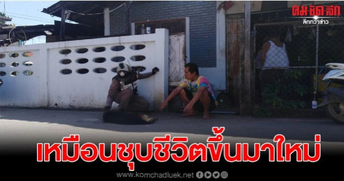 ตร.สงสารเจ้าตูบถูกวางยาพิษ ไม่รอช้ารีบช่วยเหลือจนรอดชีวิต ตร.สงสารเจ้าตูบถูกวางยาพิษ ไม่รอช้ารีบช่วยเหลือจนรอดชีวิต