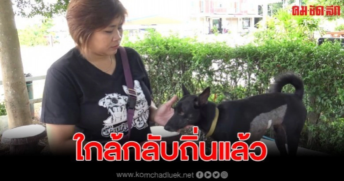เจ้าหมีดำกำลังจะกลับคืนถิ่น เข้าไปอยู่ค่ายเสนาณรงค์จันทร์นี้ เจ้าหมีดำกำลังจะกลับคืนถิ่น เข้าไปอยู่ค่ายเสนาณรงค์จันทร์นี้