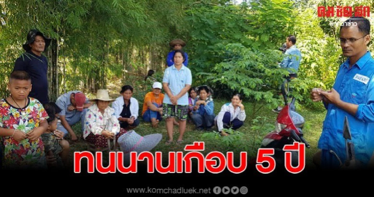 ชาวบ้านร้องฟาร์มหมูสิ่งกลิ่นเหม็น ทำถนนพัง รับกรรมนาน 5 ปี ชาวบ้านร้องฟาร์มหมูสิ่งกลิ่นเหม็น ทำถนนพัง รับกรรมนาน 5 ปี