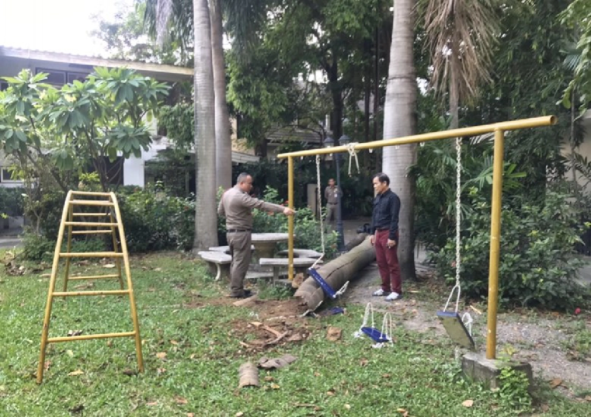 เศร้า สูญเสีย ดร.เดือนเด่น ต้นไม้ล้มทับ